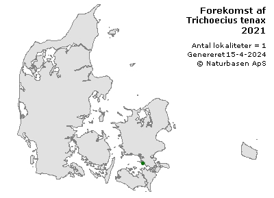 Trichoecius tenax - udbredelseskort