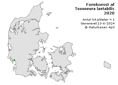 Toxoneura laetabilis - udbredelseskort