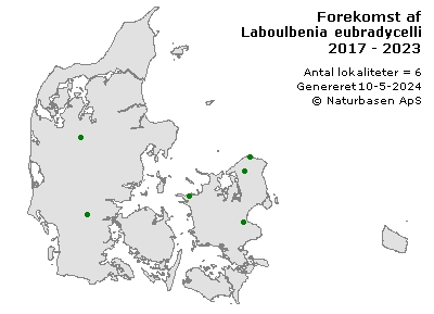 Laboulbenia eubradycelli - udbredelseskort