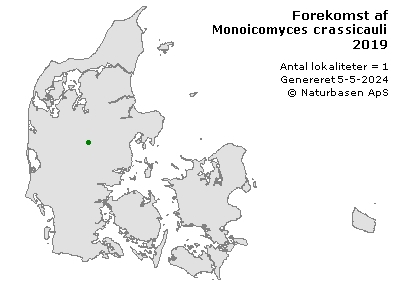 Monoicomyces crassicaulis - udbredelseskort