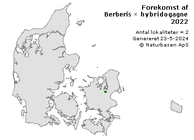 Berberis × hybridogagnepainii - udbredelseskort
