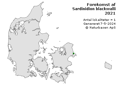 Sardinidion blackwalli - udbredelseskort