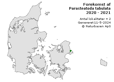 Parasteatoda tabulata - udbredelseskort