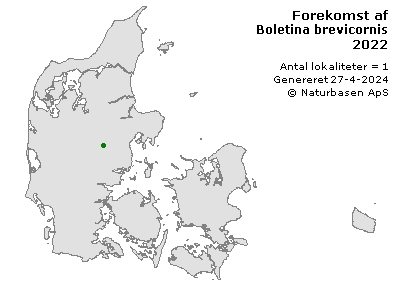 Boletina brevicornis - udbredelseskort