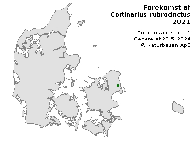 Cortinarius rubrocinctus - udbredelseskort