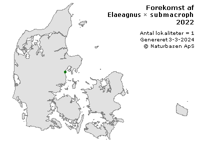 Elaeagnus × submacrophylla - udbredelseskort