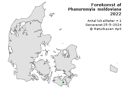 Phanuromyia moldoviana - udbredelseskort