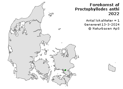 Proctophyllodes anthi - udbredelseskort
