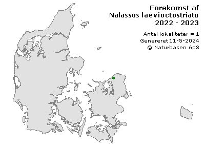 Nalassus laevioctostriatus - udbredelseskort