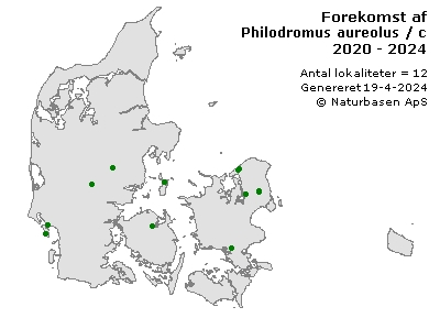 Philodromus aureolus / cespitum - udbredelseskort