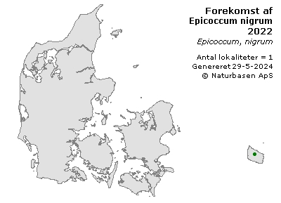 Epicoccum nigrum - udbredelseskort