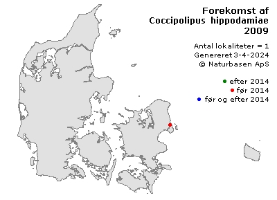 Coccipolipus hippodamiae - udbredelseskort
