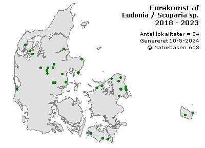 Eudonia / Scoparia sp. - udbredelseskort