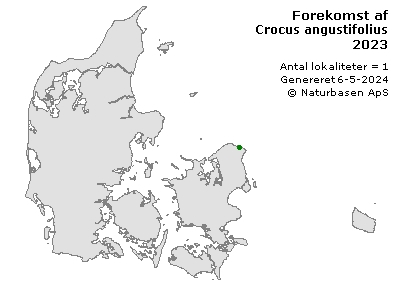 Crocus angustifolius - udbredelseskort