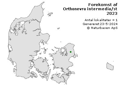 Orthonevra intermedia/stackelbergi - udbredelseskort