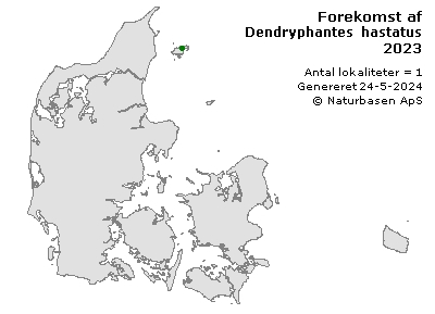 Dendryphantes hastatus - udbredelseskort