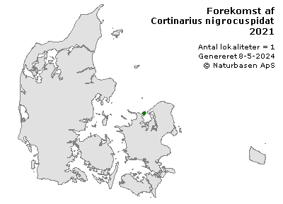 Cortinarius nigrocuspidatus - udbredelseskort