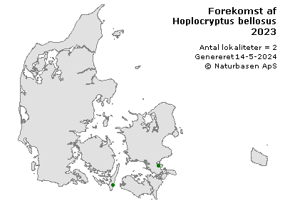 Hoplocryptus bellosus - udbredelseskort
