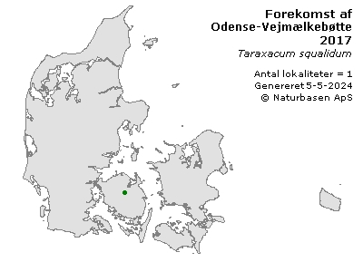 Odense-Vejmælkebøtte - udbredelseskort