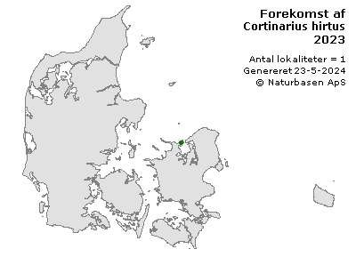 Cortinarius hirtus - udbredelseskort