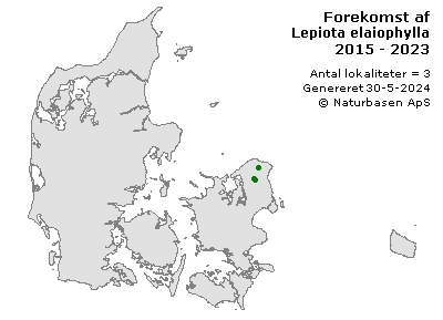 Lepiota elaiophylla - udbredelseskort