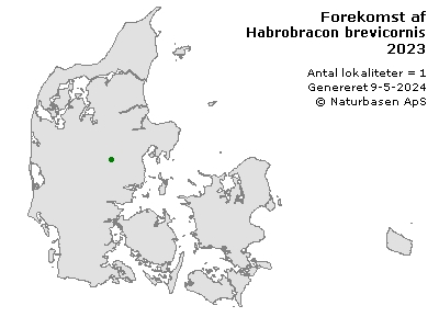 Habrobracon brevicornis  - udbredelseskort