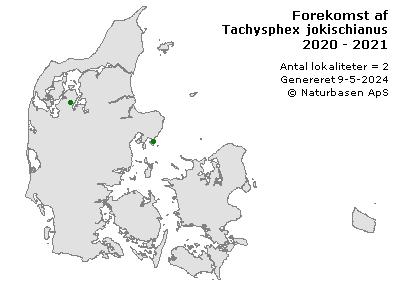 Tachysphex jokischianus - udbredelseskort