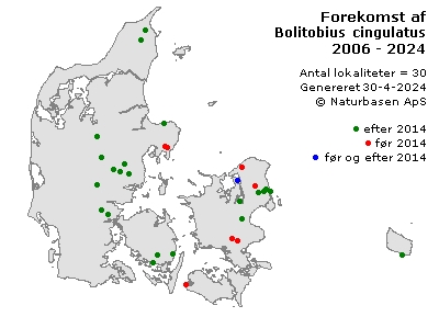 Bolitobius cingulatus - udbredelseskort