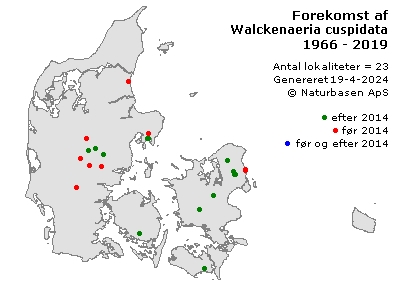 Walckenaeria cuspidata - udbredelseskort