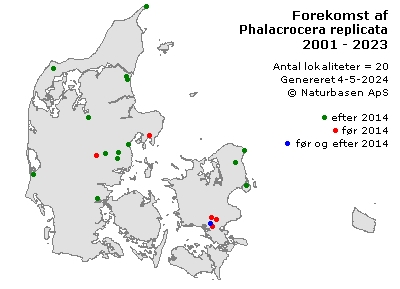 Phalacrocera replicata - udbredelseskort