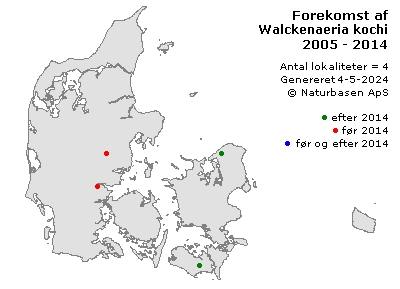 Walckenaeria kochi - udbredelseskort