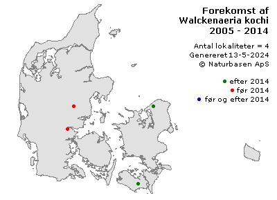 Walckenaeria kochi - udbredelseskort
