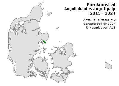 Anguliphantes angulipalpis - udbredelseskort