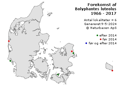 Bolyphantes luteolus - udbredelseskort