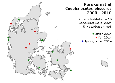Cnephalocotes obscurus - udbredelseskort