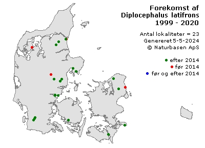Diplocephalus latifrons - udbredelseskort