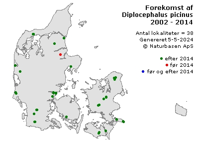 Diplocephalus picinus - udbredelseskort