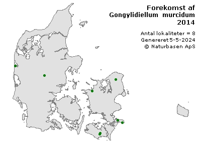 Gongylidiellum murcidum - udbredelseskort