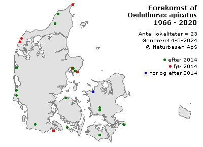 Oedothorax apicatus - udbredelseskort