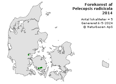 Pelecopsis radicicola - udbredelseskort