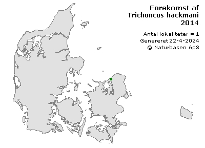 Trichoncus hackmani - udbredelseskort