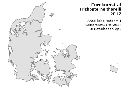 Trichopterna thorelli - udbredelseskort