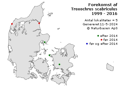 Troxochrus scabriculus - udbredelseskort