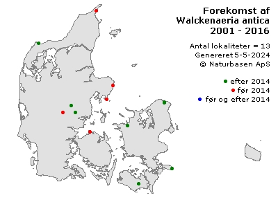 Walckenaeria antica - udbredelseskort