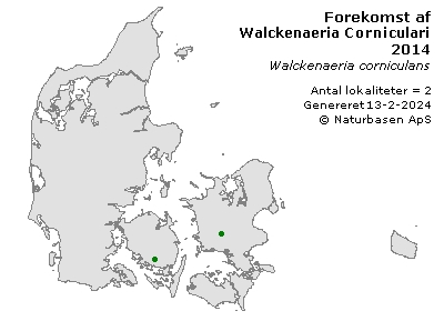 Walckenaeria Cornicularis - udbredelseskort