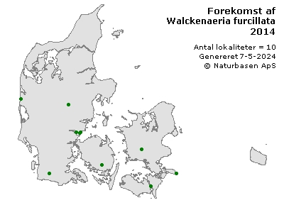 Walckenaeria furcillata - udbredelseskort