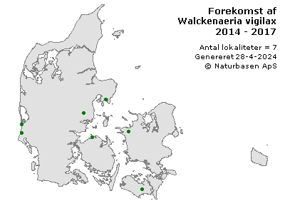 Walckenaeria vigilax - udbredelseskort