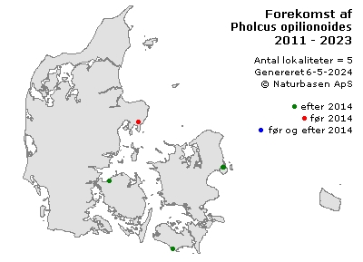 Pholcus opilionoides - udbredelseskort