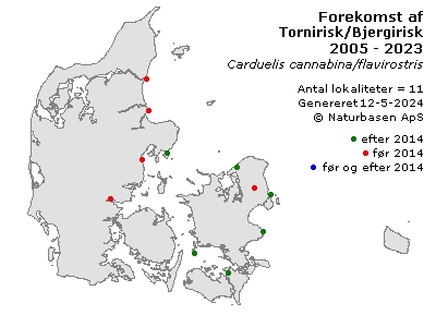 Tornirisk/Bjergirisk - udbredelseskort