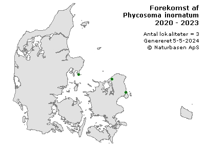 Phycosoma inornatum - udbredelseskort